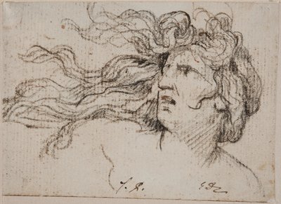 Kvinnohuvud med flygande hår av Jacques Louis David