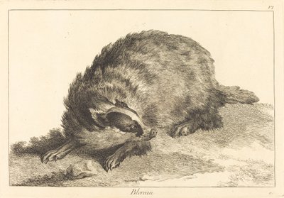 Blereau (grävling) av Jacques Philippe Le Bas and Jean Eric Rehn after Jean Baptiste Oudry