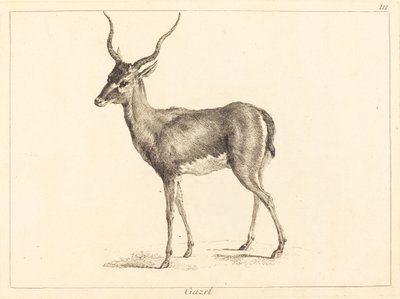 Gasell (gasell) av Jacques Philippe Le Bas and Jean Eric Rehn after Jean Baptiste Oudry