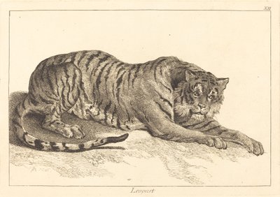 Leopard (Leopard eller Tiger) av Jacques Philippe Le Bas and Jean Eric Rehn after Jean Baptiste Oudry