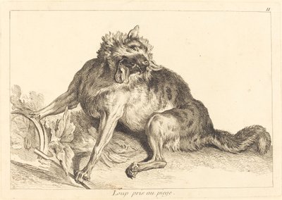 Varg fångad i en fälla av Jacques Philippe Le Bas and Jean Eric Rehn after Jean Baptiste Oudry