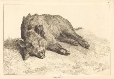 Sanglier (vildsvin som ligger ner, gå till vänster) av Jacques Philippe Le Bas and Jean Eric Rehn after Jean Baptiste Oudry