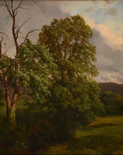Les Chênes av Jacques Raymond Brascassat