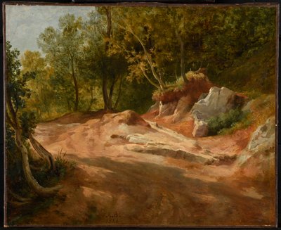 Stenar i skogen av Jacques Raymond Brascassat