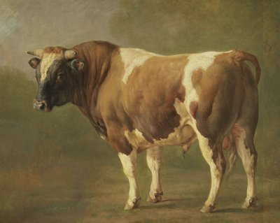 Studie av en tjur av Jacques Raymond Brascassat