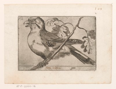Gaai Gaio (titel på objekt) Vogels (serietitel) av Jacques de Fornazeris (possibly)