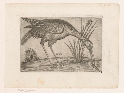 Vogel Tartena (titel på objekt) Vogels (serietitel) av Jacques de Fornazeris (possibly)