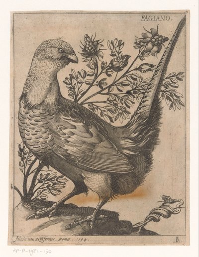 Fasan Fagiano (titel på objekt) Nine Birds (serietitel) av Jacques de Fornazeris