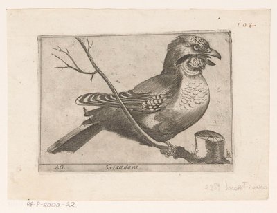 Jay (Garrulus glandarius) Giandara (titel på objekt) Fåglar (serietitel) av Jacques de Fornazeris