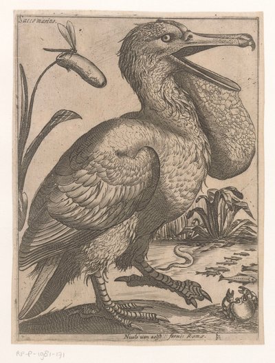 vattenfågel Sacco Marino (titel på objekt) Nine Birds (serietitel) av Jacques de Fornazeris