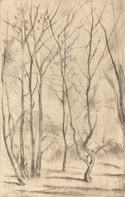 Damskogen, 1875. av James Abbott McNeill Whistler