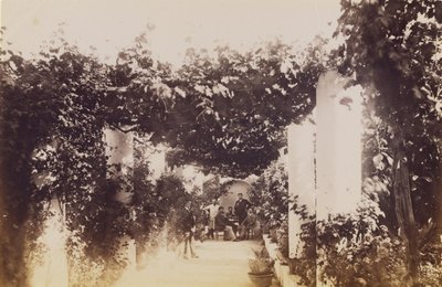 Trädgård - Capri av James Anderson