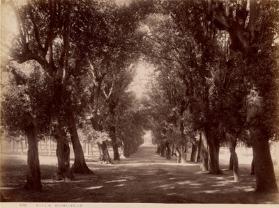 Villa Borghese av James Anderson