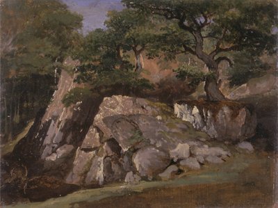Utsikt över Valley of Rocks nära Mittlach (Alsace) av James Arthur OConnor