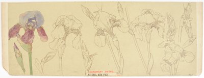 Botaniska studier, 1900-30 (wc på papper) av James Atherton