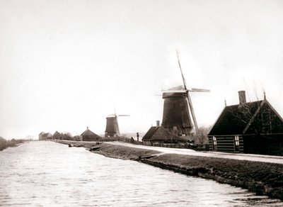 Väderkvarnar, Laandam, Nederländerna, 1898. av James Batkin