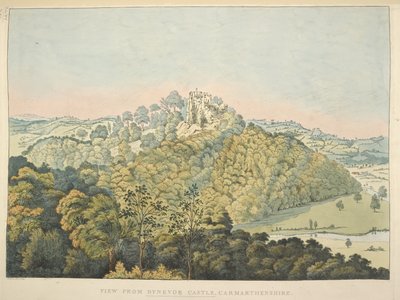 Kartor K Top 46, 35 d Utsikt från Dynevor Castle, med utsikt över floden Towy och Golden Grove (handfärgad etsning) av James Bretherton