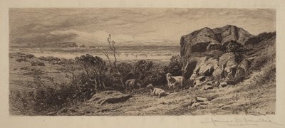 Ett stycke av Marblehead Neck av James David Smillie