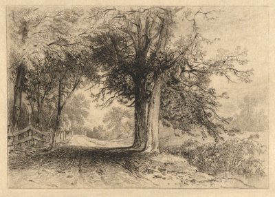 A Farm Lane, januari 1887, opus 2 av James David Smillie