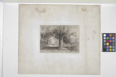 Landskap (etsning, chine collé) av James David Smillie
