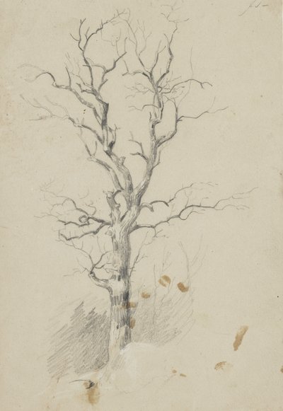 Träd (penna på papper) av James David Smillie