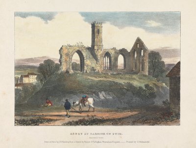 Abbey i Carrick on Suir av James Duffield Harding