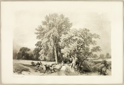 Abele och ek, från Parken och skogen av James Duffield Harding