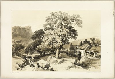 Ask och ek, från Parken och skogen av James Duffield Harding