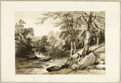 Bok och ask på Gretan, från Parken och skogen av James Duffield Harding