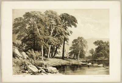 Svart poppel, från Parken och skogen av James Duffield Harding