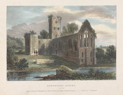 Buttevent Abbey av James Duffield Harding