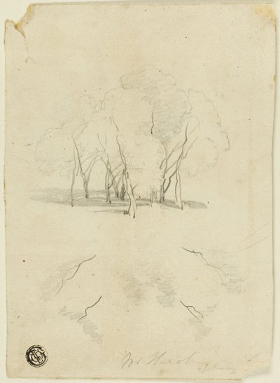 Klump av träd av James Duffield Harding