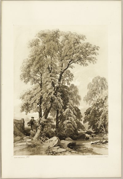 Alm och björk, från Parken och skogen av James Duffield Harding