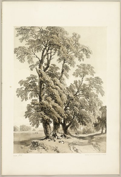 Alm, från Parken och skogen av James Duffield Harding