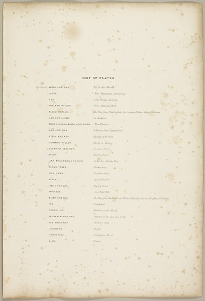 Lista över tallrikar, från Parken och skogen av James Duffield Harding