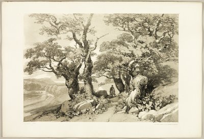 Old Oaks, från The Park and the Forest av James Duffield Harding