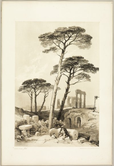 Stone Pines, från Parken och Skogen av James Duffield Harding