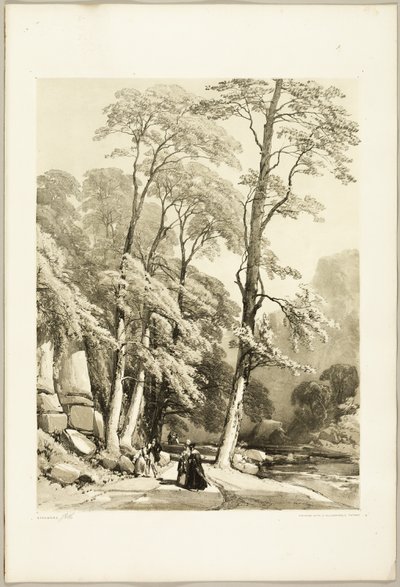 Sycamore, från Parken och skogen av James Duffield Harding