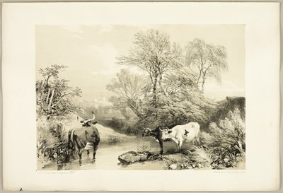 Törn, Pil, Bok och Björk, från Parken och Skogen av James Duffield Harding