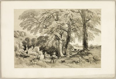 Wych Elm, från Parken och skogen av James Duffield Harding