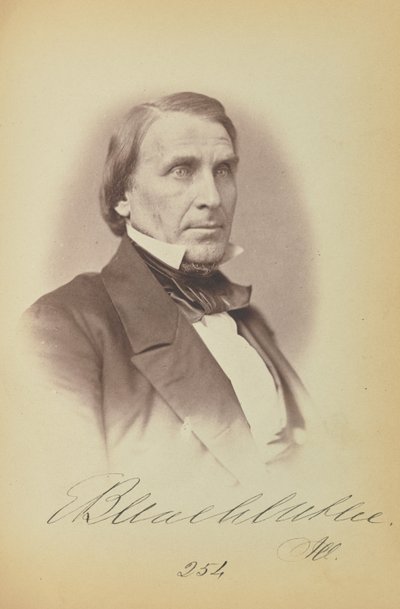 Elihu B. Washburne av James Earle McClees