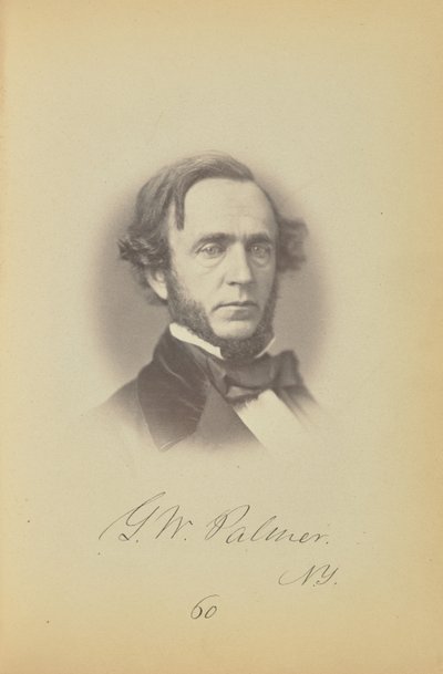 George W. Palmer av James Earle McClees