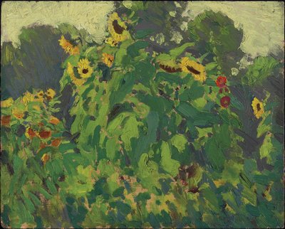 Solrosor, Thornhill, 1916 (olja på komposit trä-massaskiva) av James Edward Hervey Macdonald