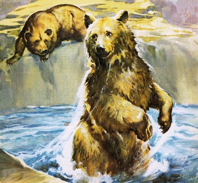 Nikki från Moskva av James Edwin McConnell