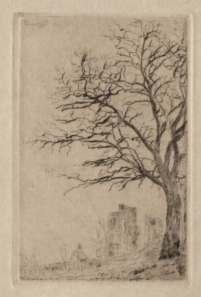 Akacia av James Ensor
