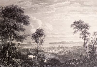 Utsikt över Dundee från Balgay Hill av James Fenton