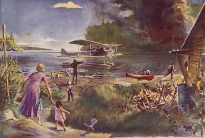 Flygplan och skogsbrand av James Fergus Kyle
