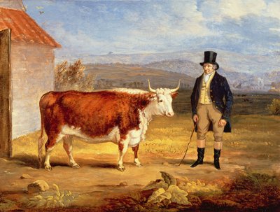 James Hodges och hans tvååriga Herefordkviga, ca 1843 av James Flewitt Mullock
