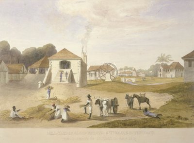 Mill Yard, Holland Estate, St. Thomas i öst av James Hakewill