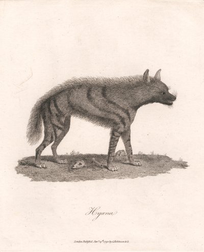 Hyoena av James Heath